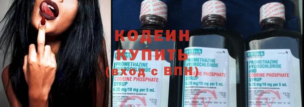 стаф Вязьма