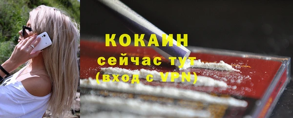 стаф Вязьма