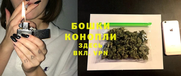 стаф Вязьма