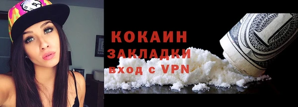 стаф Вязьма