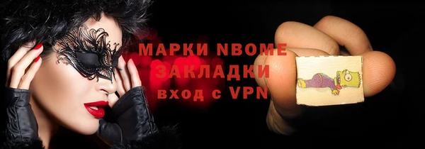 стаф Вязьма