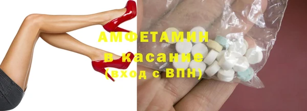 стаф Вязьма