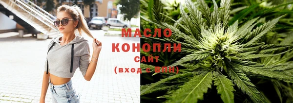 стаф Вязьма