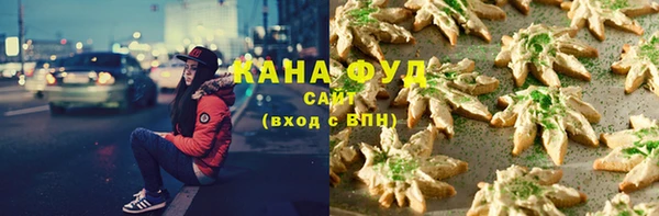 стаф Вязьма