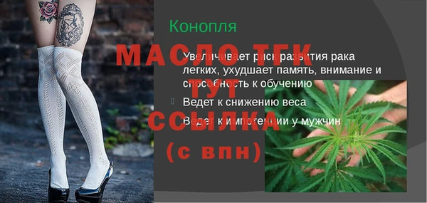 стаф Вязьма
