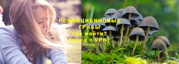 стаф Вязьма