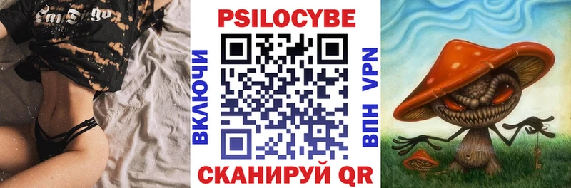 Купить закладки  Сольвычегодск  Псилоцибиновые грибы Magic Shrooms 